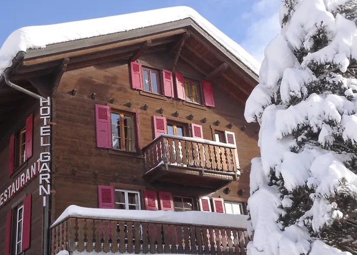 fotos do Hotel Les Touristes Verbier